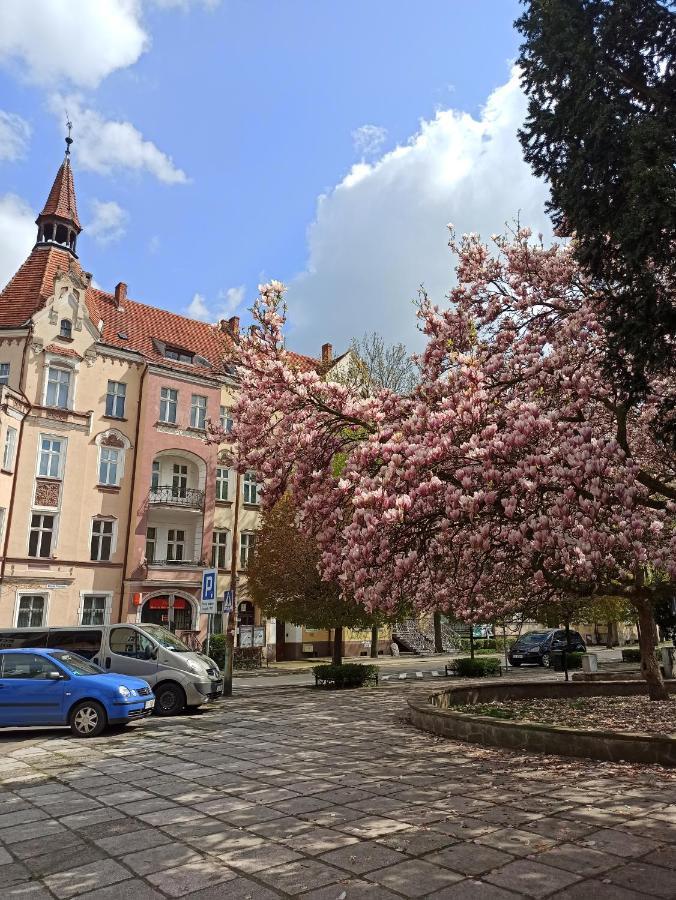 Apartament Rozeta Centrum 6Os Legnica Exterior foto